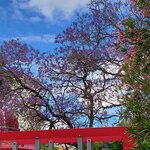 Photo taken by Mike T