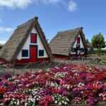 Photo taken by Mindy H