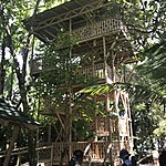 Photo taken by Michelle D