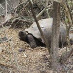 Photo taken by Barb M