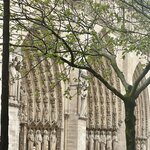 Photo taken by Erin J