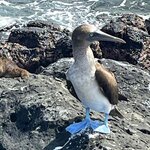 Photo taken by Lindsey F