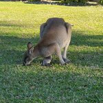 Photo taken by Maggie W