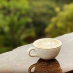 Photo taken by Hannah S