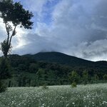 Photo taken by Fuad A