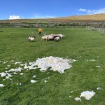 Photo taken by Gene L