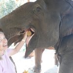 Photo taken by Michelle R