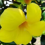 Photo taken by Mordechay T