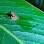 Photo taken by Mordechay T