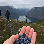 Photo taken by Katie D