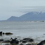 Photo taken by Elizabeth B