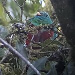 Photo taken by Siang O