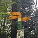 Photo taken by Laura H