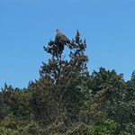 Photo taken by Jared B