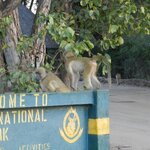 Photo taken by Linette B