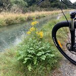 Photo taken by Laura H