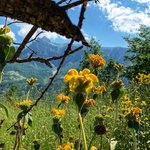 Photo taken by JoAnne C