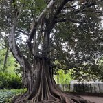 Photo taken by Alyson P