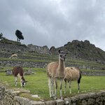 Photo taken by Kara H