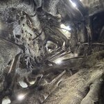 Photo taken by Dixie W