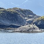 Photo taken by Susan K