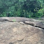 Photo taken by Anisha L