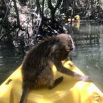 Photo taken by Shaula L