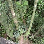 Photo taken by Linda F