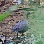 Photo taken by Graeme W