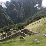 Photo taken by Michelle D