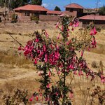 Photo taken by Nicolette S