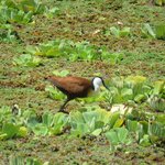 Photo taken by Kristin M