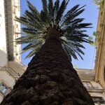 Photo taken by Paul M