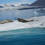 Photo taken by Kevin S