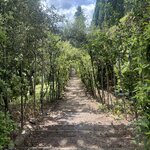 Photo taken by Christopher Paul T