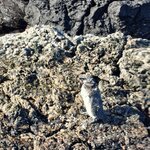 Photo taken by Vinay K