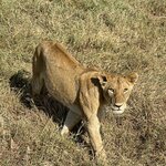 Photo taken by Julien C