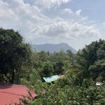 Photo taken by Sharon N