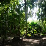 Photo taken by Carly M