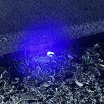 Photo taken by Bailey W