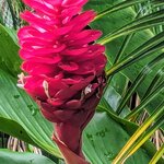 Photo taken by Sushma S