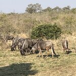 Photo taken by Joanne B