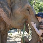 Photo taken by Brook D