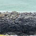 Photo taken by Danielle P