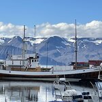 Photo taken by Tim Z