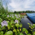 Photo taken by Camille S