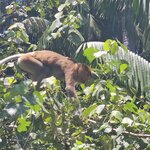 Photo taken by Sabiha K