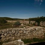 Stone walls dating back to ancient Greek settlers | Photo taken by Eva W