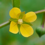 Photo taken by mindy n