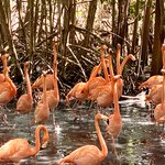 National Aviary | Photo taken by Todd M